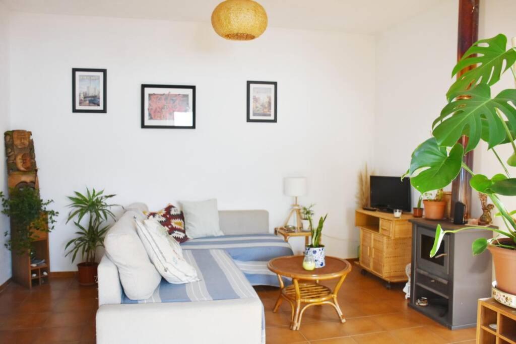 Bamboo House Aljezur Apartment Ngoại thất bức ảnh